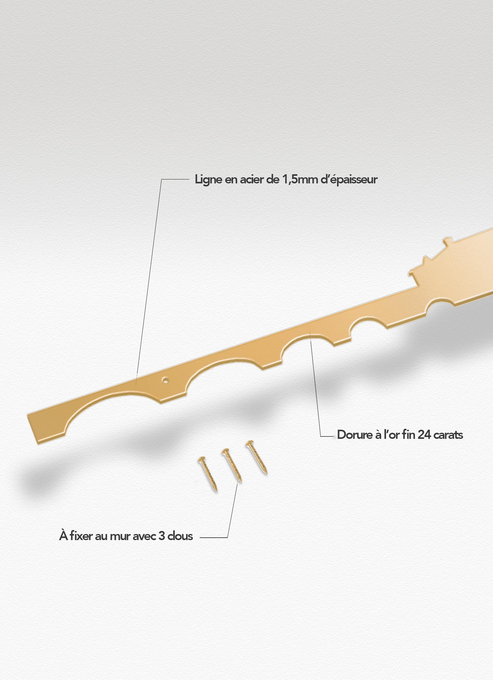 Presentation of the skyline of Toulouse doré