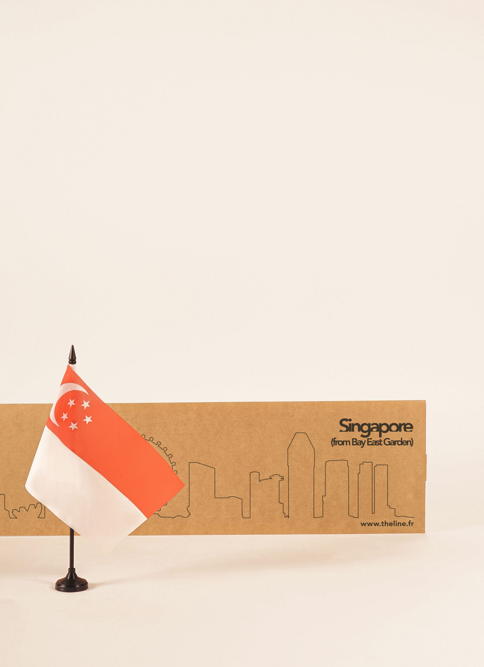 Packaging de la déco murale de Singapore XL