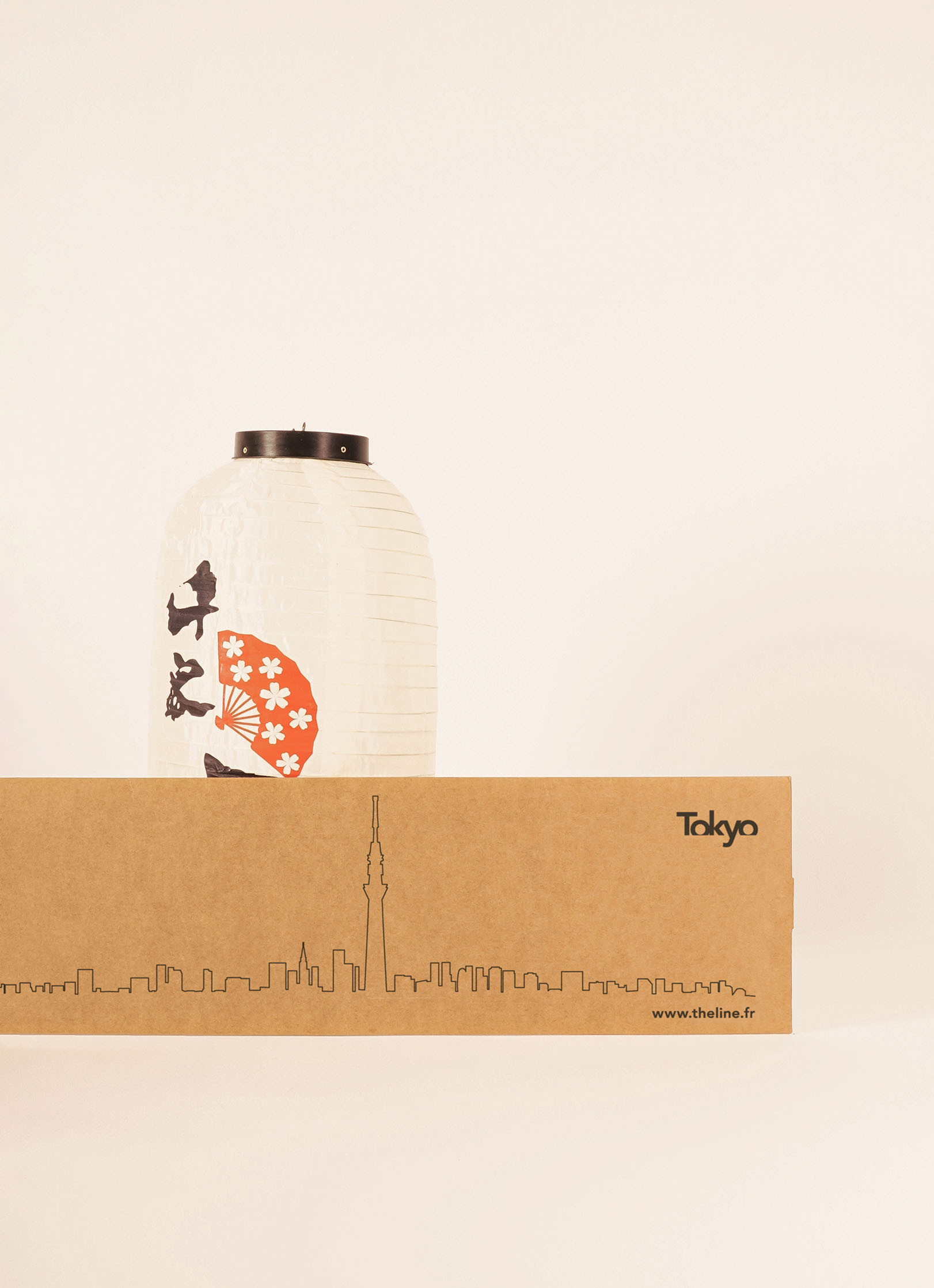 Packaging de la déco murale de Tokyo XL