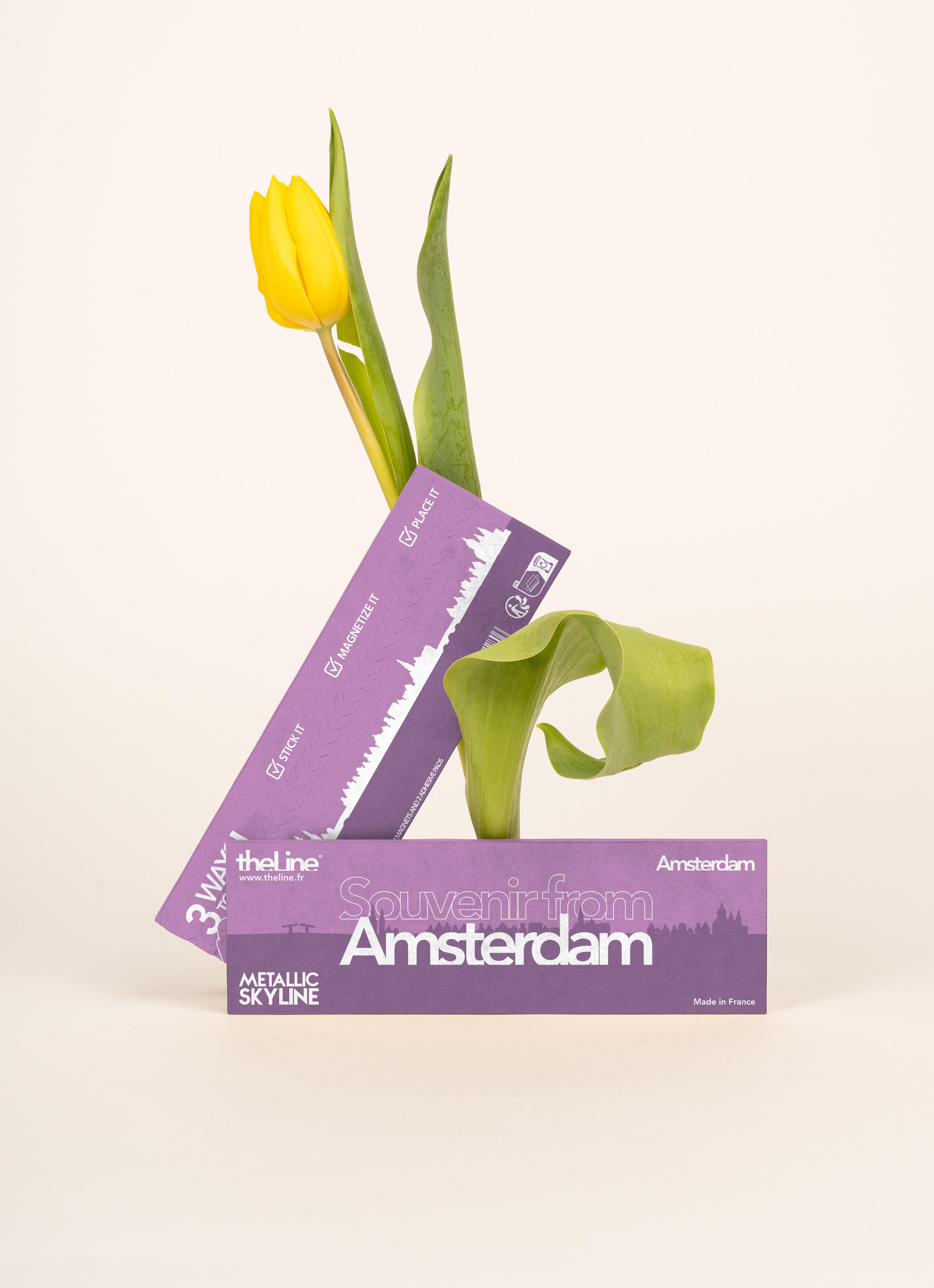 Amsterdam Mini